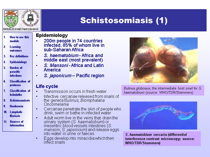 Schistosomiasis (1) Epidemiology 200m people in 74 countries infected, 85% of whom live in